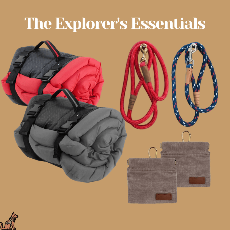 Bark&Tail™ Explorers Essentials