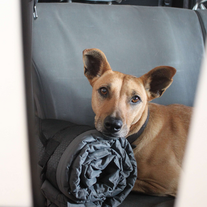 Bark&Tail™ Adventure Buddy Bundle