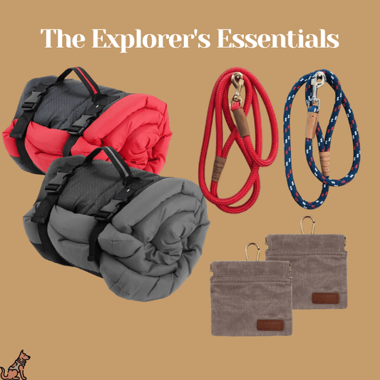Bark&Tail™ Explorers Essentials