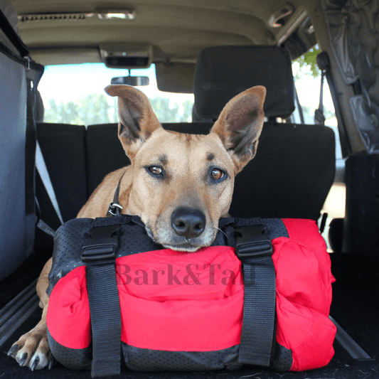 Bark&Tail™ Premium Outdoor Travel Mat