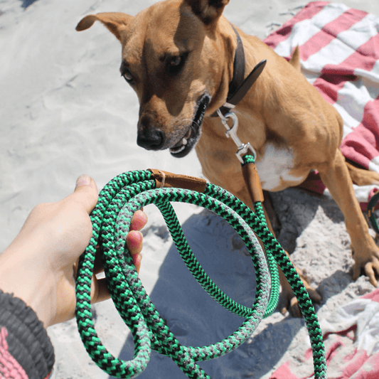 Bark&Tail™ Travel Rope Leash